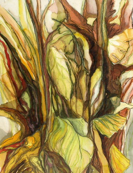 Fragmento de platanera II