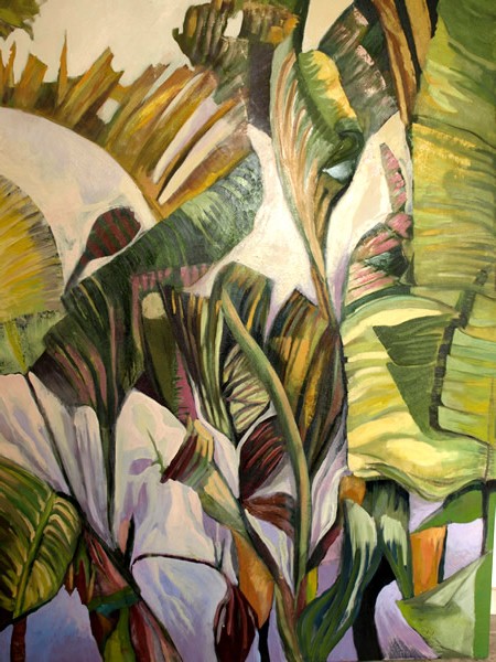 Hojas de platanera